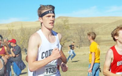 Ferdig and Niederbaumer compete at state cross country