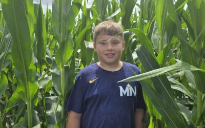 Knee high…and more…by the Fourth of July!